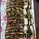 庭秀 的 小吃店之小菜豆乾 cooksnap