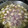 El cooksnap de yoli cuando hizo Alcachofas a la navarra.