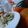 Brian Nickolas Kariuki's cooksnap of when they made Chinese Stir fried Rice with stewed drumsticks.