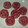 Cooksnap dari Imeldha Hoppes untuk resep Bolu kukus buah naga merah...no mixer no ribet..