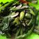 Cooksnap dari Dean Deean untuk resep Tumis Genjer (tips biar tetep ijo dan g pait)