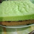 Cooksnap dari Shely Chen untuk resep Brownis Kukus Coklat Pandan