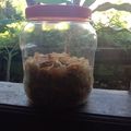 Cooksnap dari Ainun Al Ma'rufah untuk resep Keripik kentang pelengkap soto