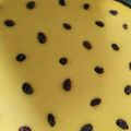 Cooksnap dari Bunda Fachri untuk resep Kue lumpur labu kuning