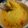 Cooksnap de Luciano quando cozinhou Escondidinho de frango e batata doce.