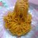 Cooksnap dari Selvin Indriyani untuk resep Spaghety lada hitam praktis