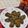 Kalpana Rai's cooksnap of when they made Yum Arbi ke patte ke patode.