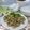 Cooksnap dari jennyk Art untuk resep Vietnam Lemongrass Chicken