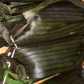 Cooksnap dari Ari Kurniawati untuk resep Nasi Bakar Ayam Kemangi