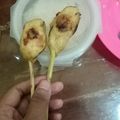 Cooksnap dari ilfin irma untuk resep Sate Lilit Ayam Khas Bali