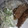 whitney.talanoa's cooksnap of when they made Ruby Tuesdays Broccoli salad.