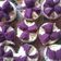 Cooksnap dari Bonas Ggrj untuk resep Bolu Kukus Mekar Anti Gagal