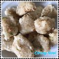 Cooksnap dari cinkcink untuk resep Cireng nasi