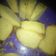 Cooksnap dari Dapur_inta untuk resep Carrot Cake (Bolu Wortel)