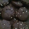 Cooksnap dari novi untuk resep Choco Cookies Super Nyoklat Enak dan Renyah