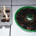 Cooksnap dari usi untuk resep Puding maizena 🍣🍰
