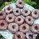 Cooksnap dari 🍛hobimakan🐐 untuk resep Donat ubi ungu