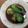 CristinaK's cooksnap of when they made Baby Bok Choy Stir Fry with Oyster Sauce.
