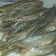 Cooksnap dari Raihanah Rufaidah Mariyah untuk resep Ikan kembung pindang keranjang