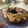 El cooksnap de Patricia Arce cuando hizo Torta marmolada de avena.