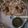 Zoe Khan 's cooksnap of when they made Palak paneer.