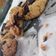 Cooksnap dari n. untuk resep Chewy Red Velvet Oreo Cookies (#dessert lumer)🇮🇩