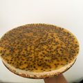 El cooksnap de Nicole Aliaga ✨ cuando hizo Cheesecake de maracuyá 🤩.
