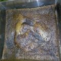 Cooksnap dari Erma Wahyu Emyla Waty untuk resep Brownies Kukus (Ala Amanda)