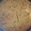 El cooksnap de Magdalena Rodríguez Whittle cuando hizo Queque de zanahoria saludable.