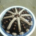 صورة من dalia rafeek، شاركها بعد تجربة وصفة طارت الشكولاه 😊