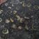 El cooksnap de Mery cuando hizo Arroz negro con chipirones.