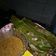 Cooksnap dari Mutt Ishaya untuk resep Otak-otak Ikan Tenggiri Sambal Kacang
