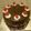 Cooksnap dari koenyitz untuk resep Black forest Cake