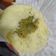 Cooksnap dari Simple kitchen untuk resep Pawa/Pao lembut dan simpel