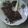 Cooksnap dari Fianna Lutfianna untuk resep Brownies kukus simple, no mixer, lembut, mudah 😉