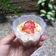 Cooksnap dari Rizka Noviyanti untuk resep Strawberry Cheese Cake in Jar Snack MPASI 1+