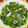 Cooksnap dari Rully Andrianto untuk resep Tumis Kale Curly