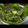 صورة من سوزان شوقي 💖💟، شاركها بعد تجربة وصفة تبوله 🥗