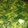 Cooksnap dari Ika Laila Kurniawati untuk resep Sayur Santan Telur dan Daun Singkong