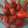 Cooksnap dari Noviarti Adiastuti untuk resep Chicken Gochujang (Ayam Goreng Ala Korea)