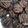 Cooksnap dari EsterDyahs untuk resep Nutrijell cookies