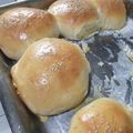 El cooksnap de Ed Wood cuando hizo Pan de viena para hamburguesa, panchos o sándwich.