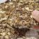 Cooksnap dari Dapur Olive untuk resep Bubur Sumsum Granola Jelly Naga