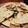 El cooksnap de Noa Rigo cuando hizo Quesadillas de acelga con queso fundido.