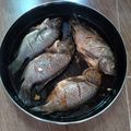 صورة من هبة ، شاركها بعد تجربة وصفة صينية سمك 😋😋