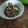 Cooksnap dari Lela Lampung untuk resep Empek - Empek Kanji Rebon