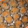 Cooksnap dari Nuryani Usdek untuk resep Siomay Ayam