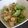Cooksnap dari Yanni Liang untuk resep Tahu goreng selada