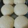 El cooksnap de Karina Arrigo cuando hizo Pan de papa integral para hamburguesa o sándwich.