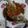 Cooksnap dari AxwellDanielle untuk resep Kerapu Steam Hongkong